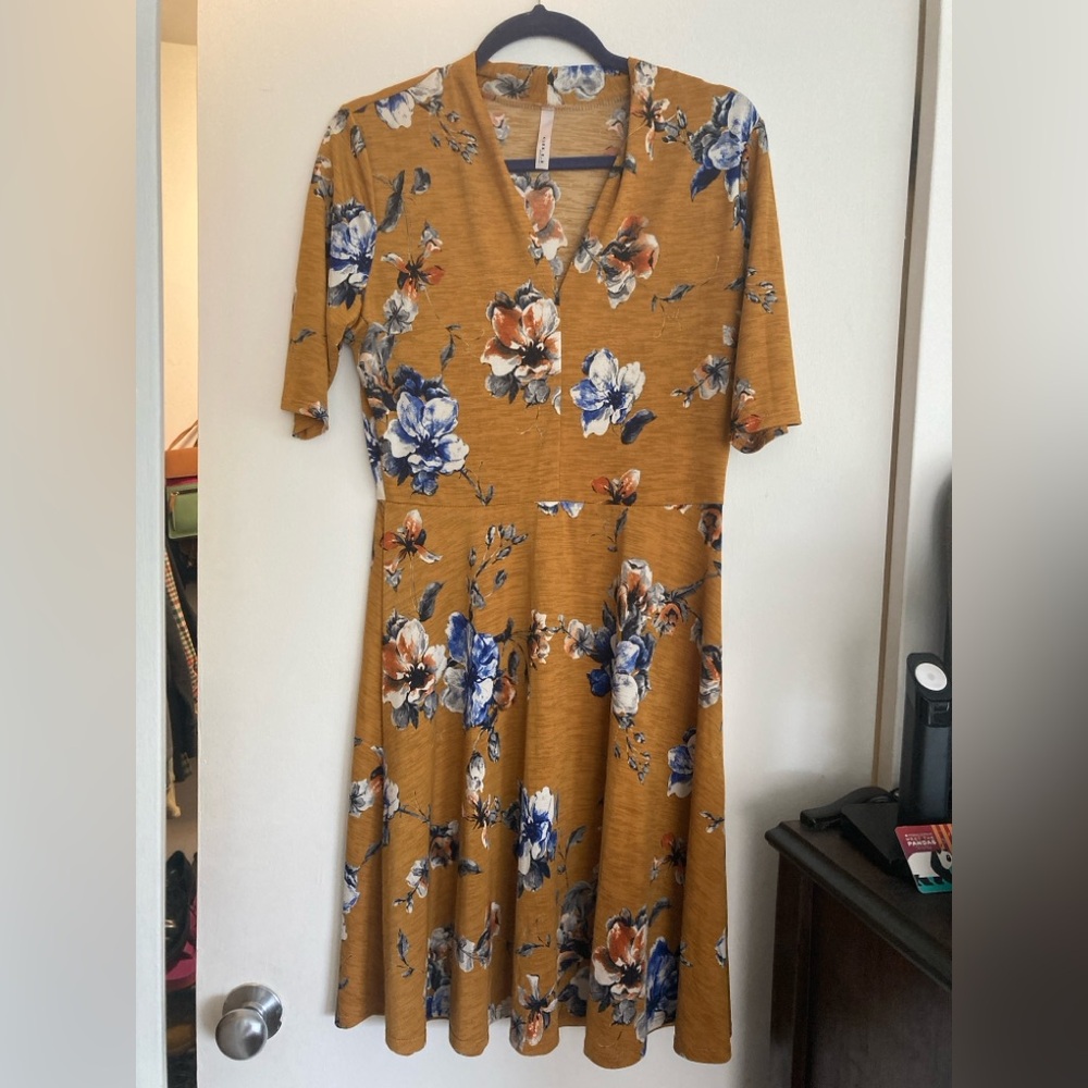Gilli Fit and Flare Dress